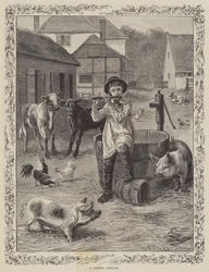 Ein rustikaler Apollo